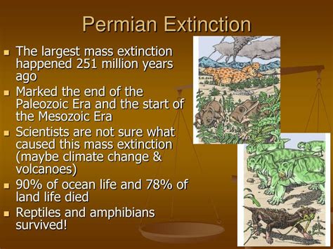 Ppt Geologic Time Scale Powerpoint Presentation Free Download Id