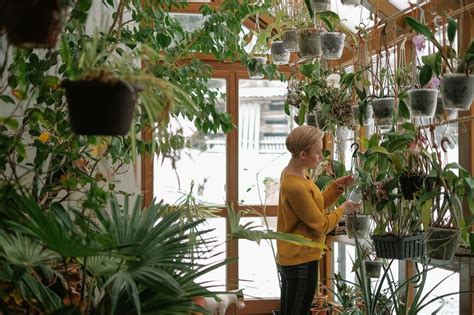 6 Easy Ways To Keep Your Indoor Plants Alive During The