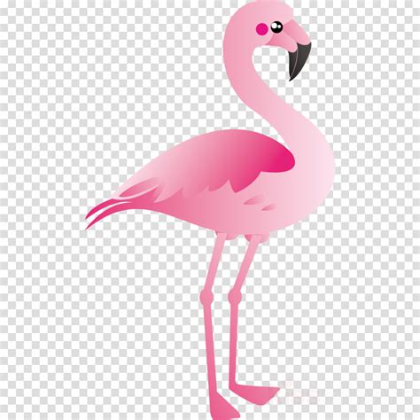 Pink Flamingo Clipart Bird Flamingo Illustration Transparent Clip Art