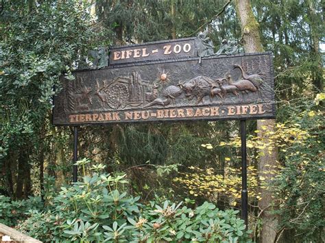 Nach überschwemmungen wegen anhaltender regenfälle wurde am mittwochabend im landkreis. SWR Beitrag zum Neustart im Eifelzoo in Lünebach ...