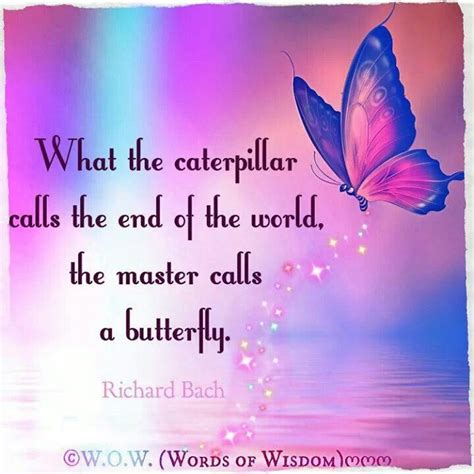 Butterfly Butterfly Quotes Life Quotes Healing Quotes