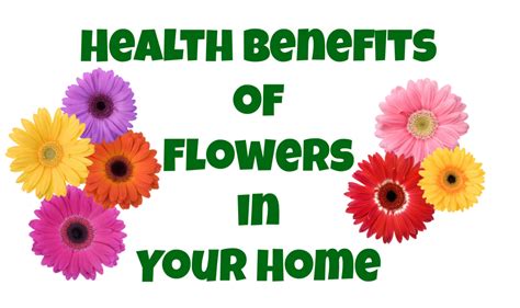 Health Benefits Of Flowers