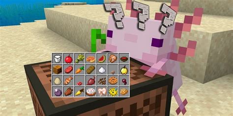 What Do Axolotls Eat In Minecraft How To Breed Axolotl In Version My