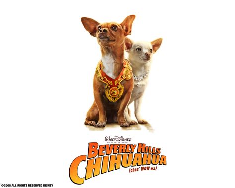 This pattern is famous from beverly hills to the bahamas and across the world. Papi & Chloe wallpaper - Beverly Hills Chihuahua movie ...