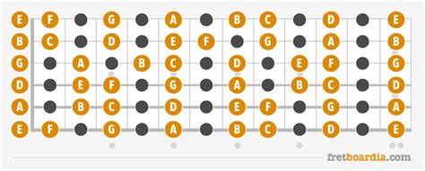 Guitar Fretboard Notes And How To Learn Them In 10 Minutes Or Less Fretboardia