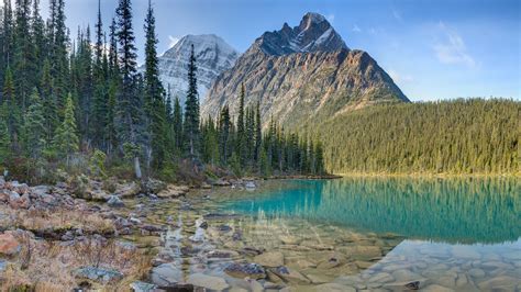 Mount Edith Cavell Reflection On Cavell Lake Jasper National Park