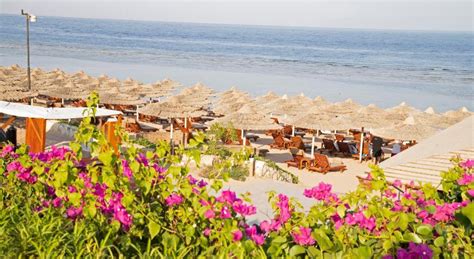 The Cleopatra Luxury Resort In Sharm El Sheikh See 2023 Prices