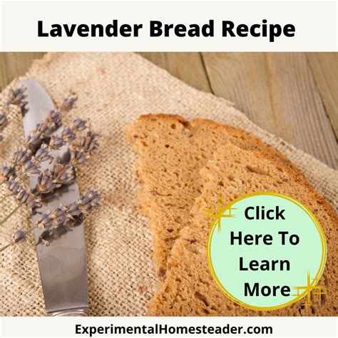 Lavender Bread Recipe Experimental Homesteader