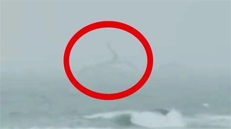 5 Kraken Caught On Camera And Spotted In Real Life Youtube