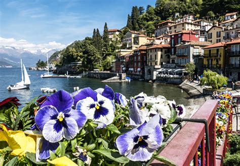 Lake Como Italy Jigsaw Puzzle In Flowers Puzzles On TheJigsawPuzzles Com