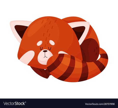 Cartoon Cool Red Panda Polish Your Personal Project Or Design With