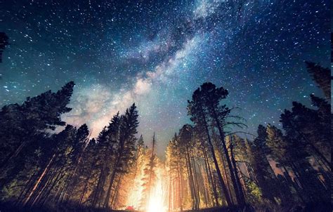 Milky Way Nature Space Starry Night Trees Rpics