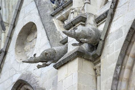 Animal Gargoyles At The Basilica Del Voto Nacional Quito Ec Stock