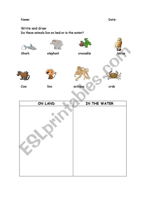 Animals That Live On Land Or In The Water Esl Worksheet By
