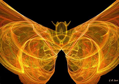 Fractal Butterfly Digital Art By Michael Durst