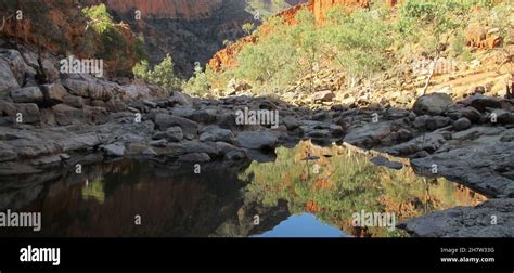 Ormiston Gorge In The West Macdonnell Ranges Features Tranquil Rock