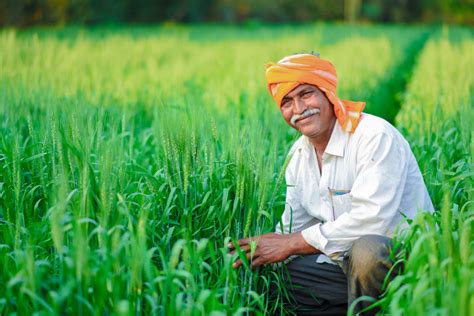 Examining Foreign Direct Investments In The Indian Agricultural Sector
