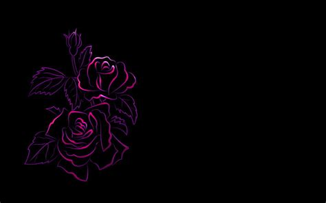 2k Free Download Neon Roses Dark Black Hd Wallpaper Peakpx