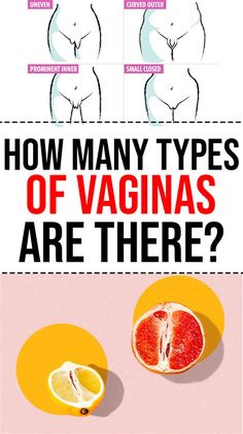 How Many Types Of Vaginas Are There Healthmgz