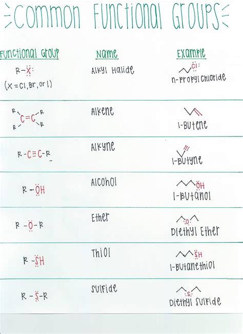 Solution Organic Chemistry 1 Common Functional Groups Studypool