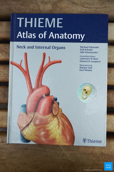 Review Of Thieme Atlas Of Anatomy Kenhub