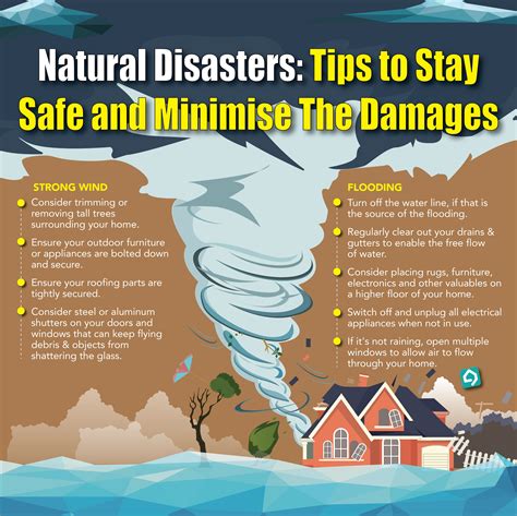 Natural Disasters: Tips to Stay Safe and Minimise Damages | Natural disasters, Buying property ...