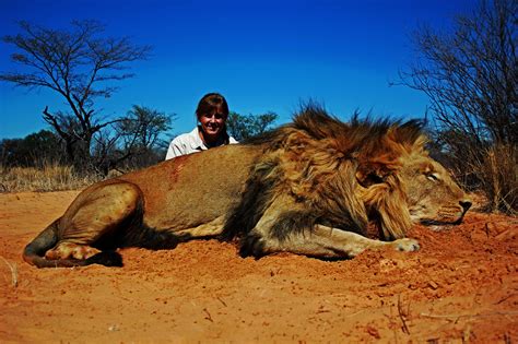 Minimum Legal Caliber To Hunt Lions In Africa Mkulu African Hunting