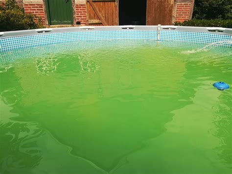 wasser von pool grün wieder klar bekkomen