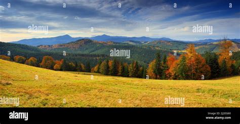 The Mountain Autumn Landscape With Colorful Forest Stock Photo Alamy