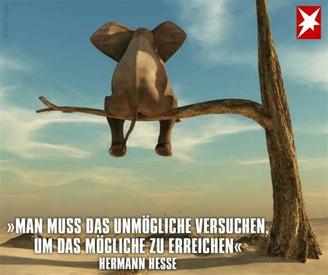 Pin By Iris Eggers On Sprichwörter Zitate Motivation Welfare Quotes