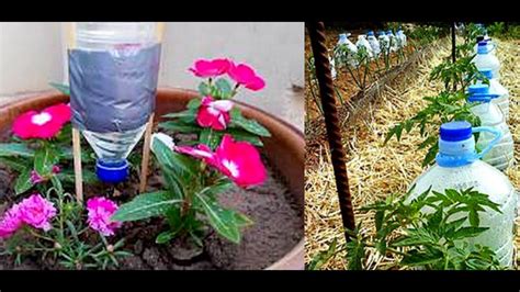 Plastic Bottle Drip Water Irrigation System Very Simple Easy 3 Ll Diy
