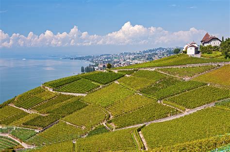 Lavaux Vineyard Terraces Switzerland Wander Your Way