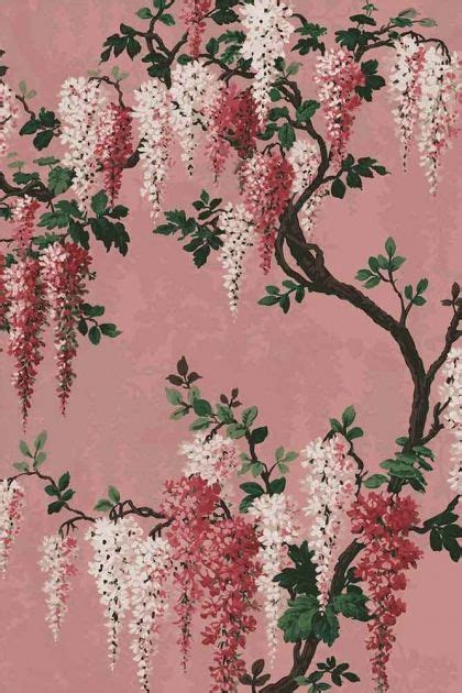 Wisteria Pink Bloom Wallpaper By Pearl Lowe Rockett St