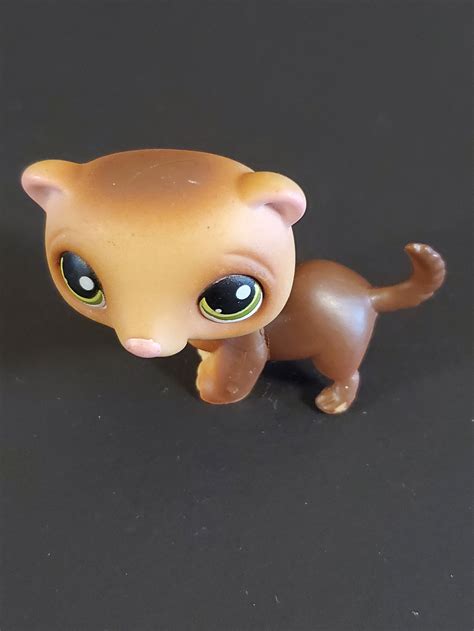 Littlest Pet Shop Lps Authentic 209 Brown Ferret With Green Etsy