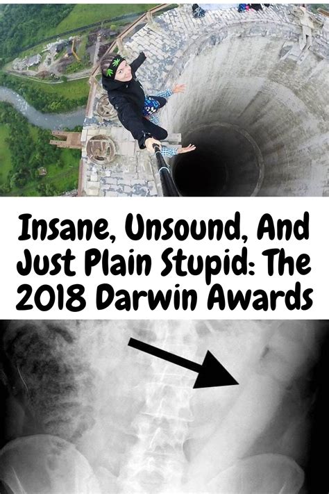 insane unsound and just plain stupid the 2018 darwin awards darwin awards darwin fun facts