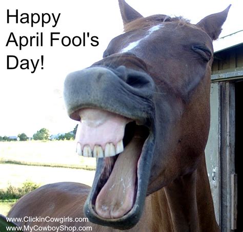 Happy April Fools Day Happy Animals Laughing Animals Funny Animals