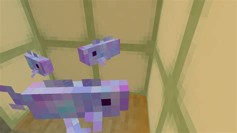 Colourful Cod Fish Bedrock Minecraft Texture Pack