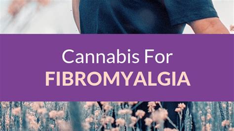 Cannabis For Fibromyalgia Dr Michele Ross