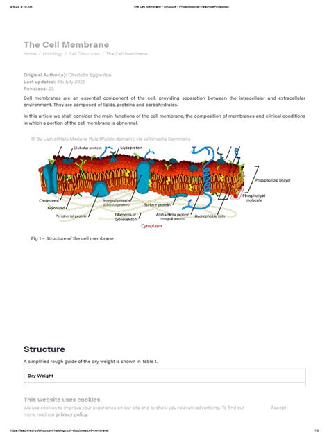 The Cell Membrane Structure Phospholipids Teachmephysiology Pdf