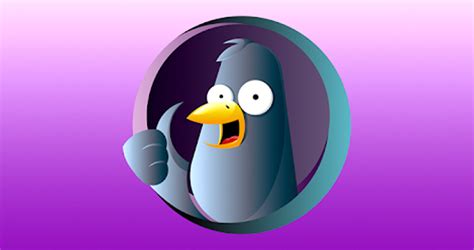 Funky Pigeon Achieves 15 Engagement Rate With Revenue Driven In App