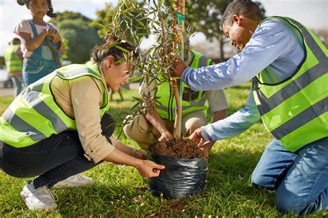 Sync Service-Tree Planting Project | Sync Recovery Community