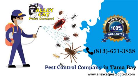 No one wants a home filled with unwanted houseguests. Tampa Bay Pest Control Company | (813)-671-3838