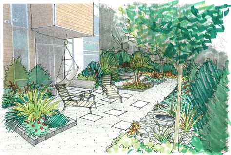 Garden Creation Townhouse Serenity Drawntogarden Landscape Sketch
