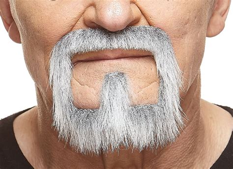Buy Mustaches Self Adhesive Van Dyke Fake Beard Goatee Novelty False Facial Hair Costume