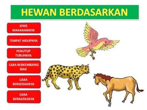 4100 Gambar Hewan Berdasarkan Tempat Hidup Gratis Terbaik - Gambar Hewan