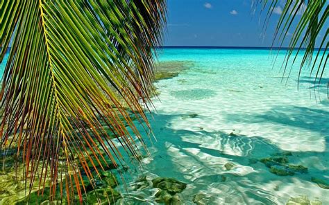 Best 41 Tropical Beach Landscape Wallpapers On Hipwallpaper Tropical