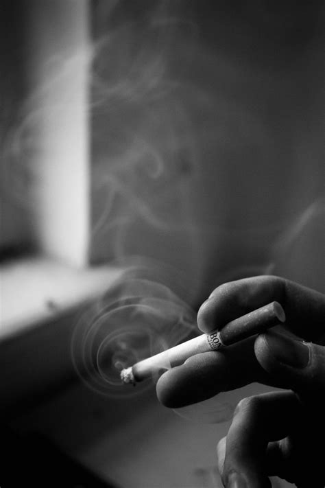 무료 이미지 빛 검정색과 흰색 화이트 사진술 창문 연기 가을 그림자 어둠 검은 단색화 팔 담배 닫다