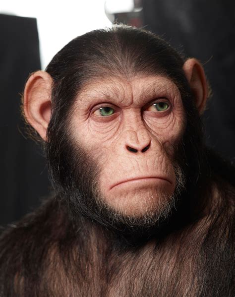 Apeheadapehead 292 Copy Planet Of The Apes Monkey Art Alien