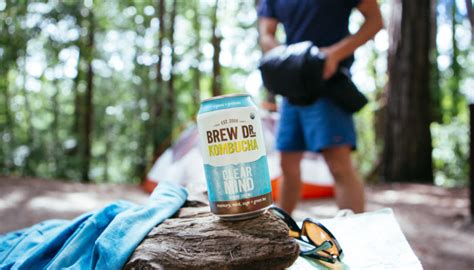 Like hard seltzer, many hard kombucha brands offer fizzy and fruity beverages with relatively low alcohol content. Brew Dr. Kombucha | Stride Consumer