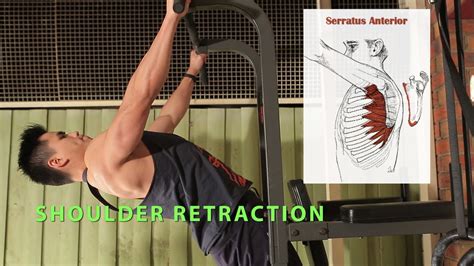Shoulder Protraction And Retraction Exercise Intermediate Shoulder Rehab